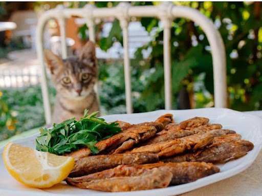 Цимес по-одеськи: екскурсія традиційною одеською кухнею