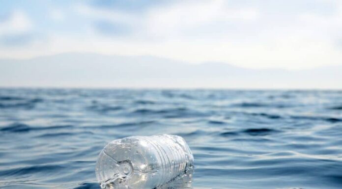 Ековідповідальність: як зменшити використання пластику