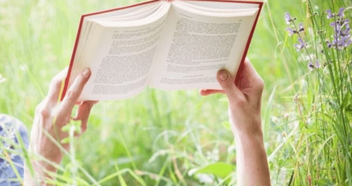 Уютное место для чтения дома с книгами