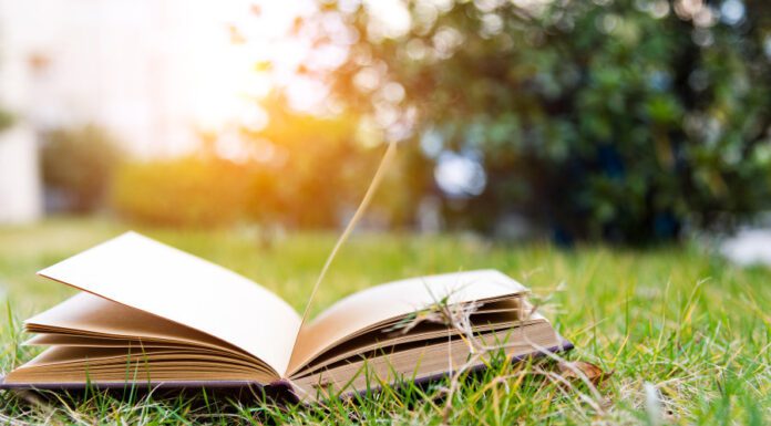 Книжкові новинки літа 2025: що почитати у відпустці чи на вихідних