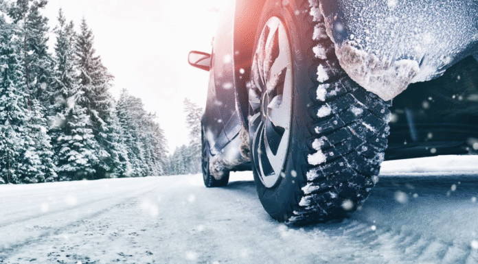 Гума зимова