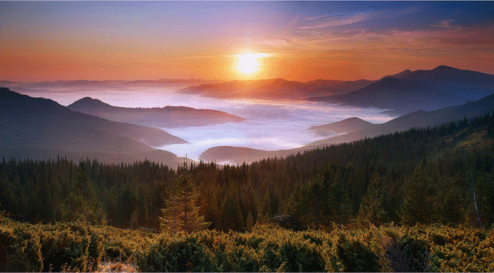 Новий світанок, нові ідеї. Топ статусів та цитат про ранок для соцмереж, що зберуть максимум лайків