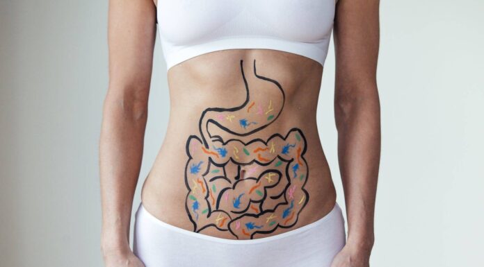 Зв’язок “кишківник-мозок”: як їжа, яку ви їсте, впливає на вашу тривожність та депресію