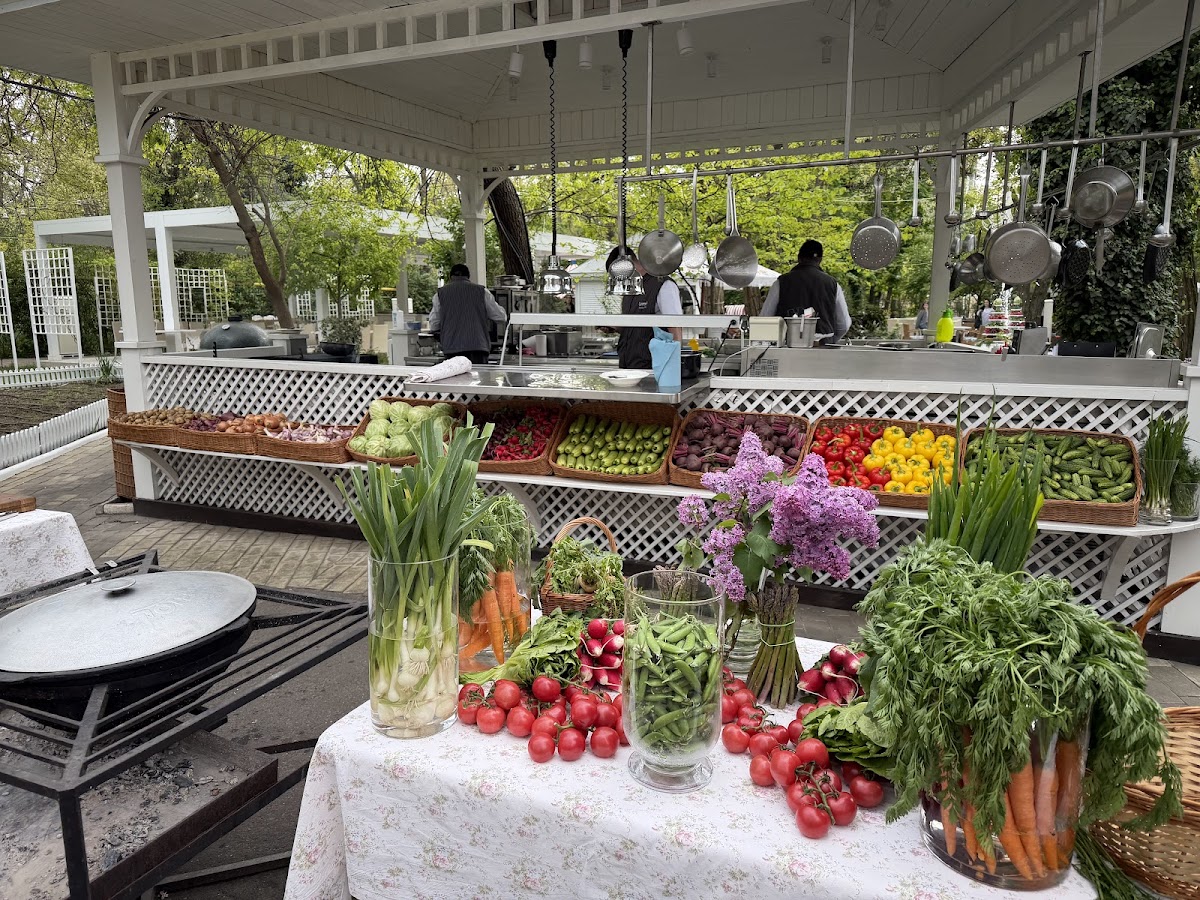 Dacha — Restaurant